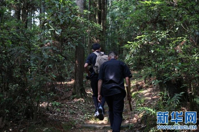 20200618181656414905273_1.jpg 20200618181656414905273_1.jpg