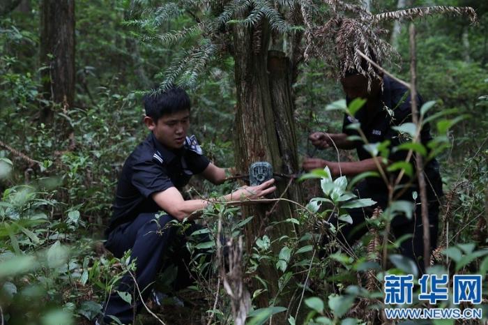 20200618181729838633657_1.jpg 20200618181729838633657_1.jpg