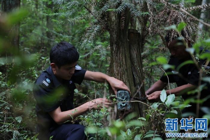 20200618181740261507729_1.jpg 20200618181740261507729_1.jpg