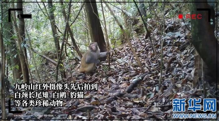 20200618181758278219233_1.jpg 20200618181758278219233_1.jpg