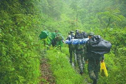 20200629175405511626092.jpg 20200629175405511626092.jpg