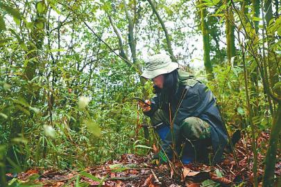 20200629175416840473401.jpg 20200629175416840473401.jpg