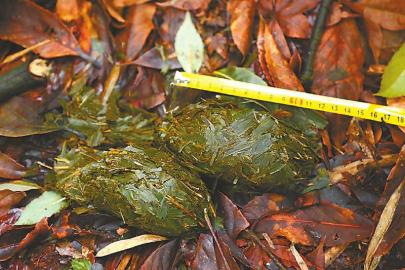 20200629175423780486590.jpg 20200629175423780486590.jpg