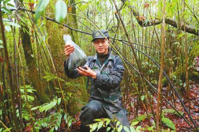 20200629175432609183140.jpg 20200629175432609183140.jpg