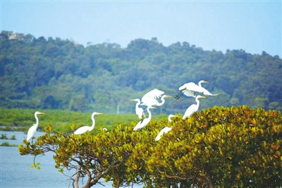 20200630174548535329824.jpg 20200630174548535329824.jpg