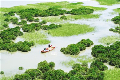 20200630174555676478852.jpg 20200630174555676478852.jpg