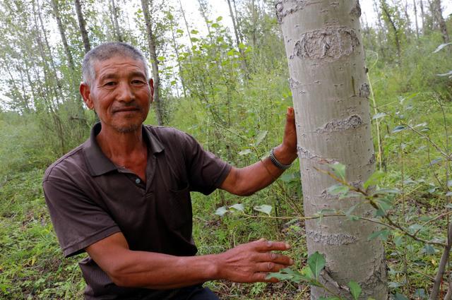 20200707181659839815226.jpg 20200707181659839815226.jpg