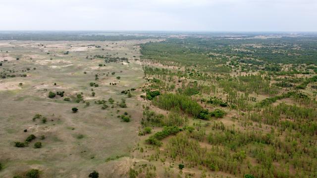 20200707181706402299107.jpg 20200707181706402299107.jpg