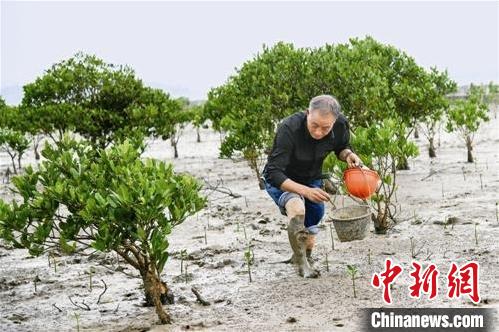 20200803171351537132621.jpg 20200803171351537132621.jpg