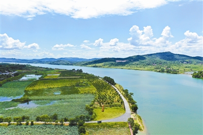 20200911095041285981132.jpg 20200911095041285981132.jpg