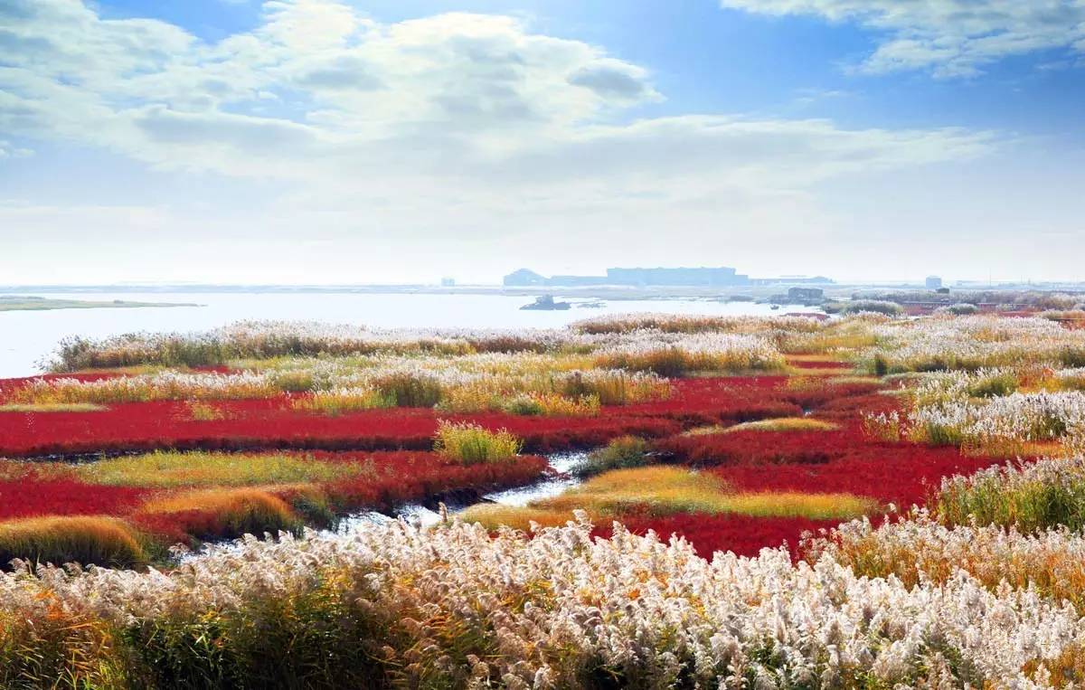 盘景.jpg 盘景.jpg