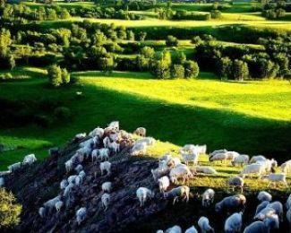 草原.jpg 草原.jpg