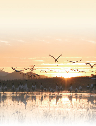 草海保护区.jpg 草海保护区.jpg