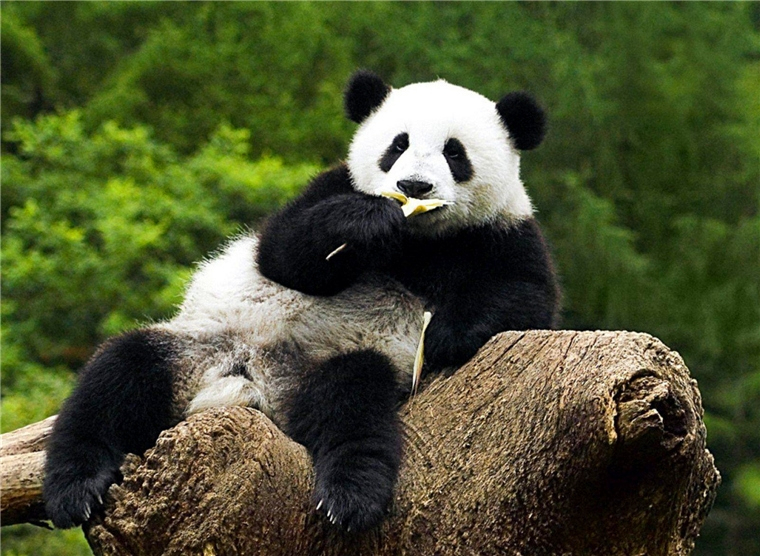 3b394ee5f10748b9ae974a05ec24d971.jpeg 3b394ee5f10748b9ae974a05ec24d971.jpeg