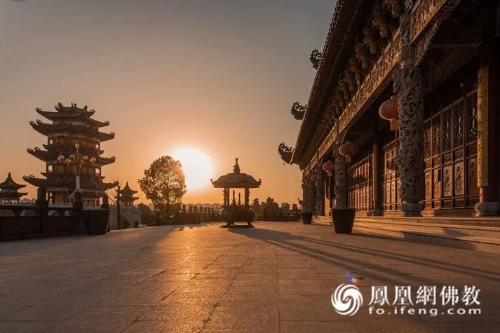 凤凰1.jpg 凤凰1.jpg