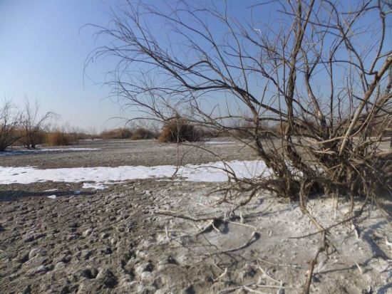 U337P4T8D3588922F107DT20120109074734.jpg U337P4T8D3588922F107DT20120109074734.jpg