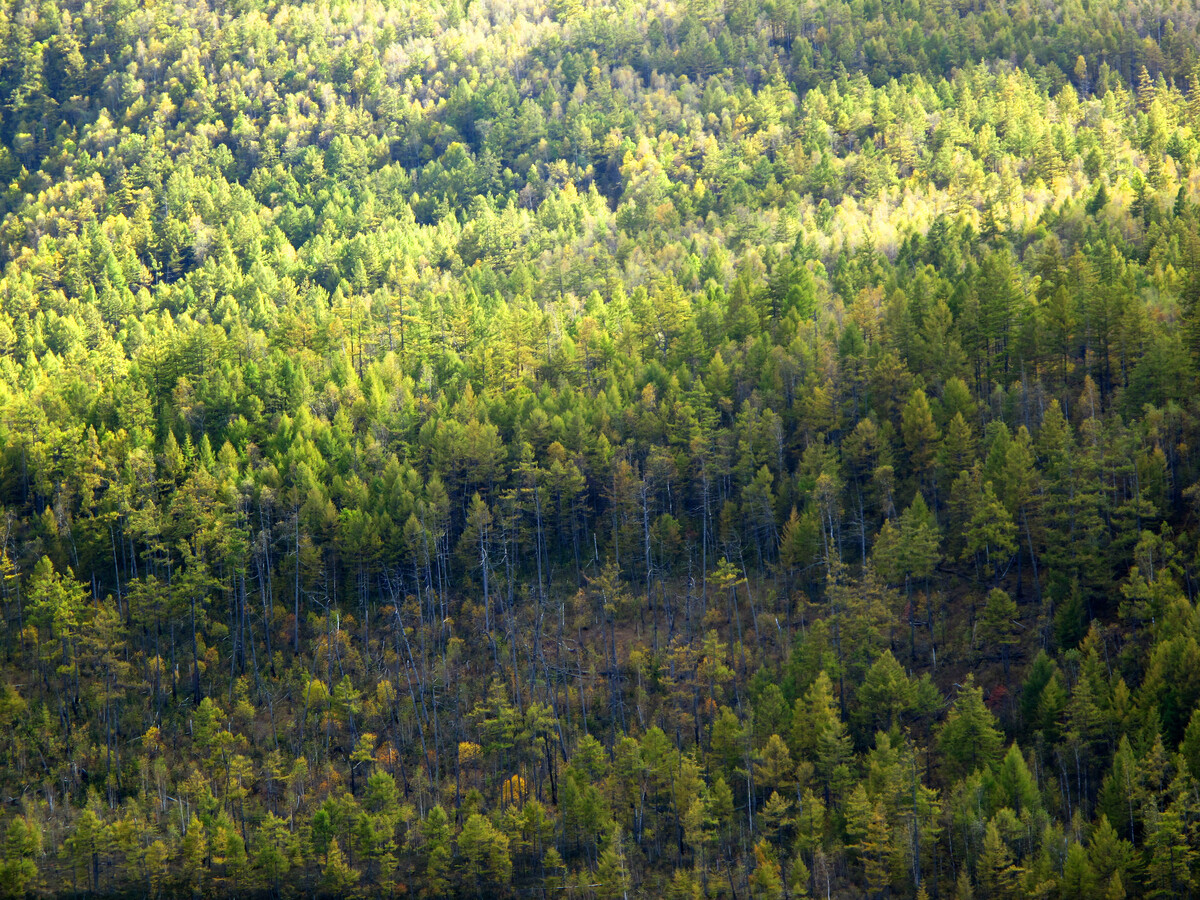 221952847.jpg 221952847.jpg