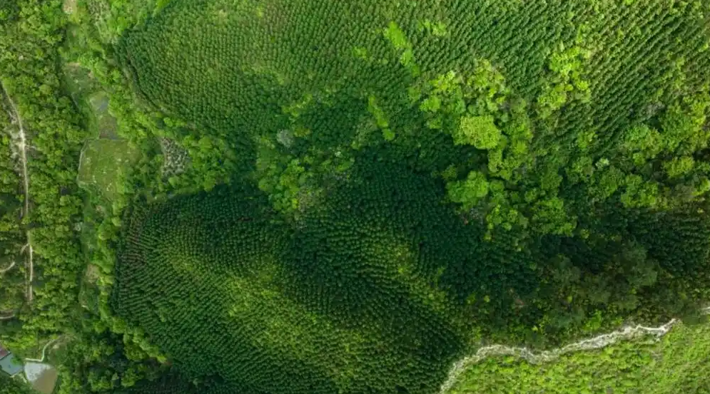 1747222917857899.png image.png