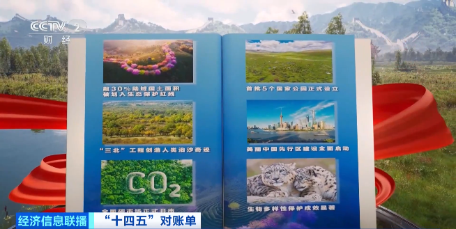 绿水青山就是金山银山。.png