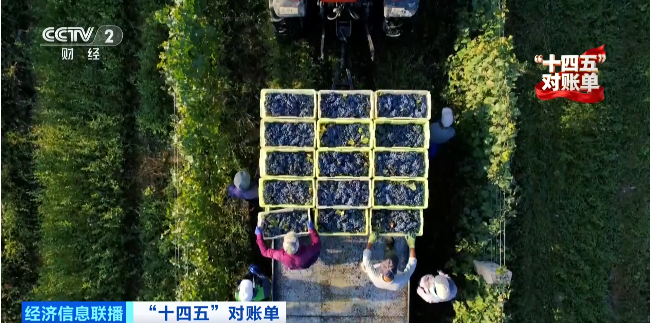 山的另一边，秋天正在派发惊喜，.png
