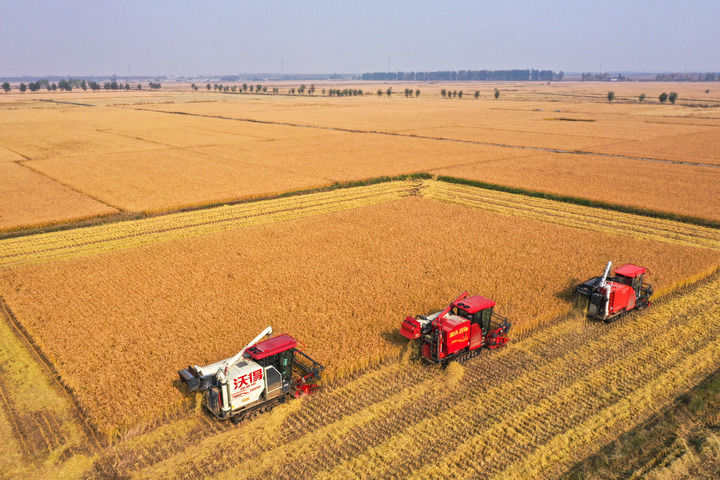 1761640995345569.jpg 在吉林省公主岭市,吉林省米兜种植农.jpg