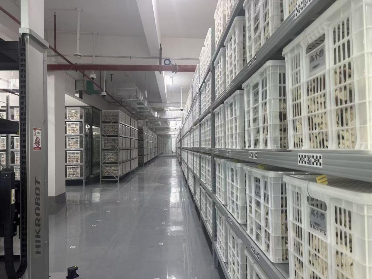 恒温恒湿的陈皮智能公共仓内部。.png