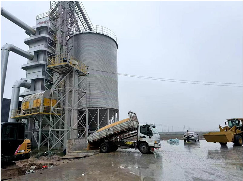 1762336789165227.png 中原粮仓烘干设备在日夜不停烘干中.png