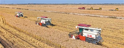 图为收割机在江苏.jpg