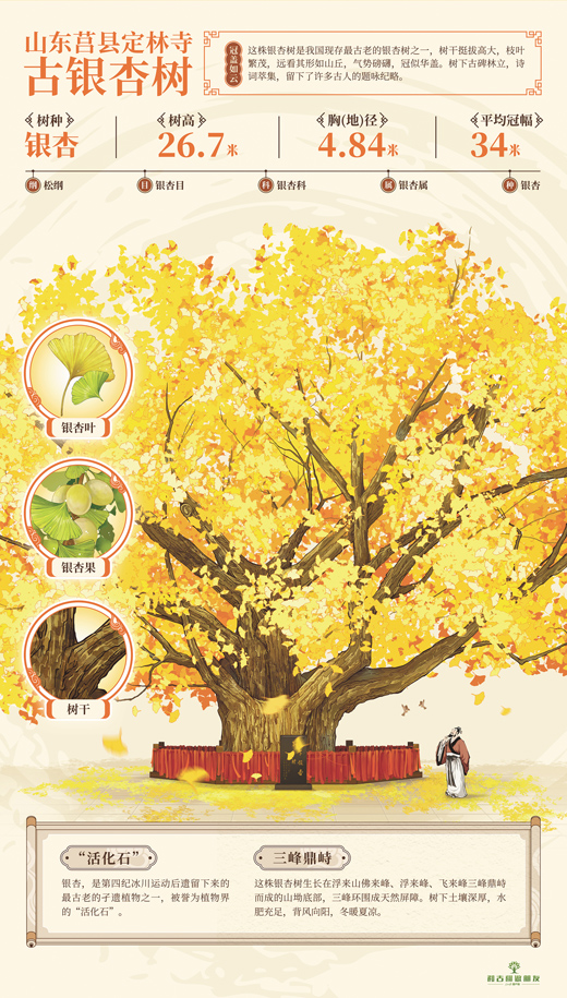 1763535275211402.jpg 一张小小的邮票,方.jpg