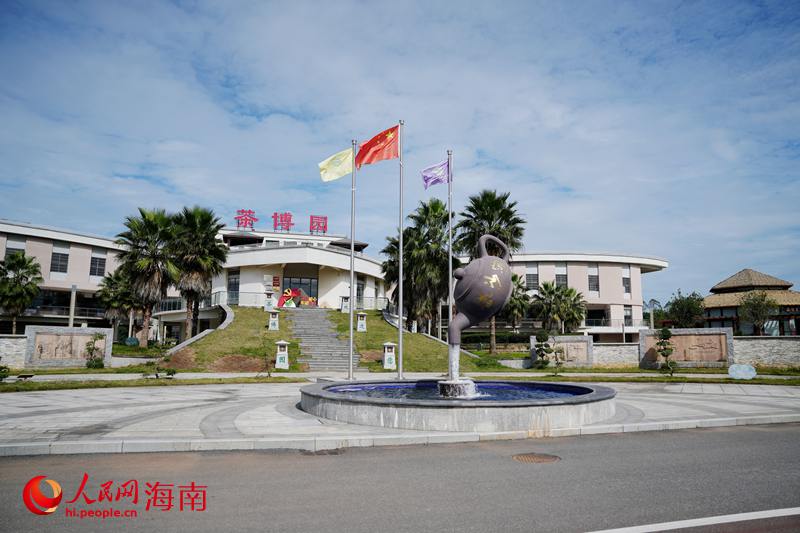 1764242041720576.jpg 白沙农场茶博园。人民.jpg