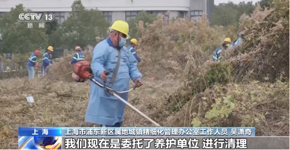 1764837686321147.png 上海市浦东新区属地城镇精细化管理办公室工作人.png