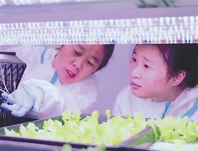 1766047467581575.jpg 植物工厂内,工作人员正在.jpg