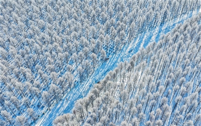 1768293172627855.jpg 冬日,位于河北承德市围场满.jpg