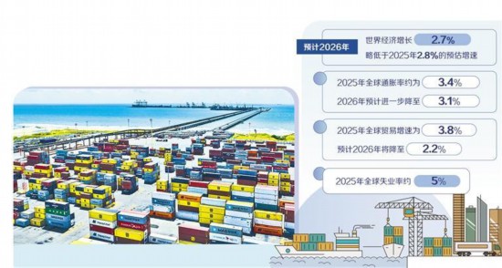 1768370970748613.jpg 图为位于巴西塞阿拉州佩森港的集装箱堆场。.jpg