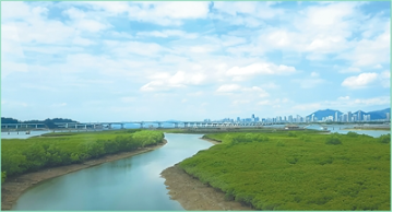 福建厦门市下潭尾红树林公园。1.png