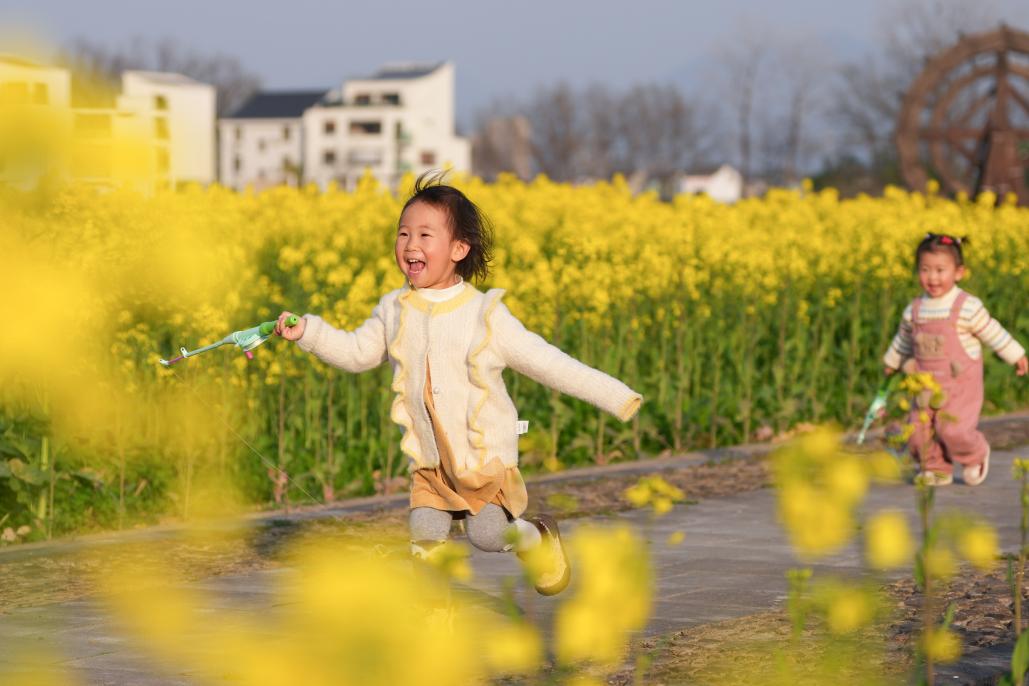 1774435635512769.jpg 3月11日,小朋友在桐庐县梅.jpg