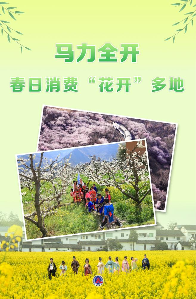 1774870447719716.jpg 12.jpg