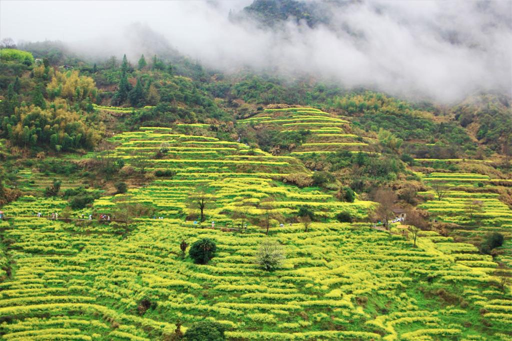 1774870482919395.jpg 3月.jpg